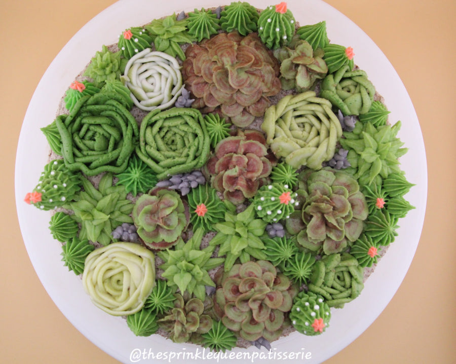 Buttercream succulent garden